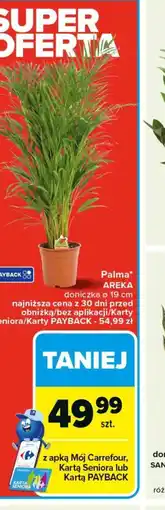 Carrefour Palma AREKA oferta