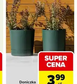 Carrefour Doniczka AURA oferta