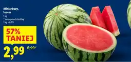 Lidl Arbuzy mini Lidl oferta