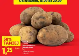 Lidl Ziemniaki jadalne polskie Lidl oferta