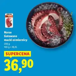 Lidl Ośmiornica gotowana macki Norso oferta