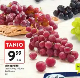 Intermarche Winogrono czerwone/różowe Red Globe luz Intermarche oferta