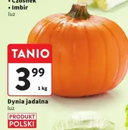 Intermarche Dynia jadalna luz Intermarche oferta