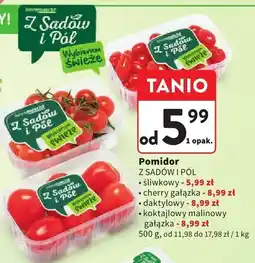 Intermarche Pomidor koktajlowy malinowy gałązka Z SADÓW I PÓL oferta
