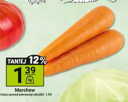 Hitpol Marchew Hitpol oferta