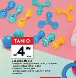 Intermarche Zabawka dla psa oferta