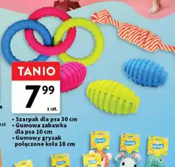 Intermarche Szarpak dla psa oferta