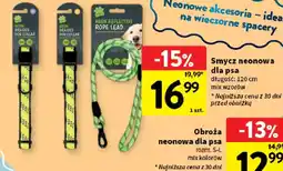Intermarche Smycz neonowa dla psa oferta