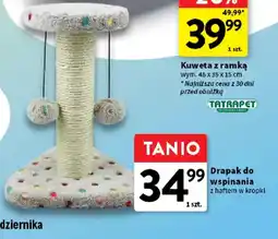 Intermarche Drapak do wspinania z haftem w kropki oferta
