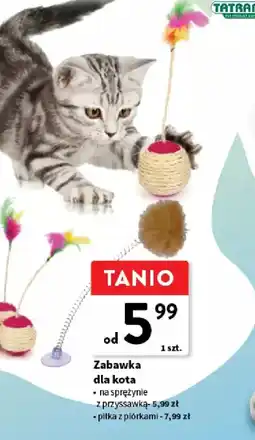 Intermarche Zabawka dla kota oferta