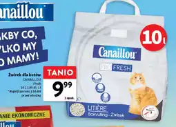 Intermarche Zwirek dla kotów Canaillou oferta