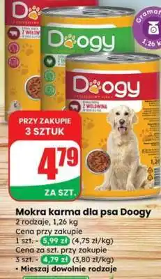 Dino Mokra karma dla psa Doogy oferta