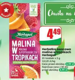 Dino Herbatka owocowa malina w tropikach Herbapol oferta