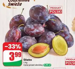 Dino Śliwka oferta