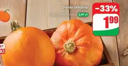 Dino Dynia jadalna oferta