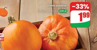 Dino Dynia jadalna oferta