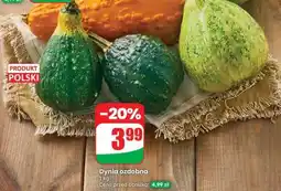 Dino Dynia ozdobna oferta