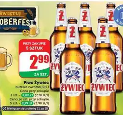 Dino Piwo Żywiec oferta