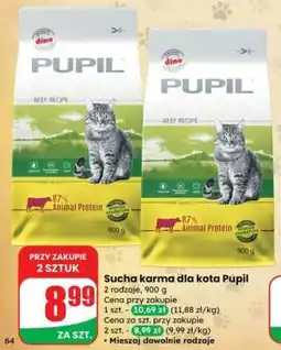 Dino Sucha karma dla kota Pupil oferta