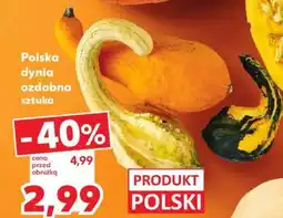 Kaufland Polska dynia ozdobna sztuka oferta