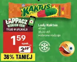 Delikatesy Centrum Lody Kaktus oferta