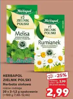 Kaufland HERBAPOL Zielnik polski oferta
