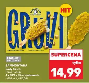 Kaufland SAMMONTANA Lody Gruvi oferta