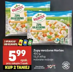 Delikatesy Centrum Zupa mrożona Hortex oferta