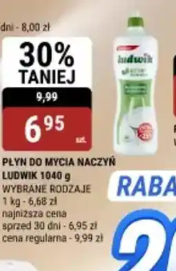 bi1 Płyn do mycia naczyń Ludwik oferta