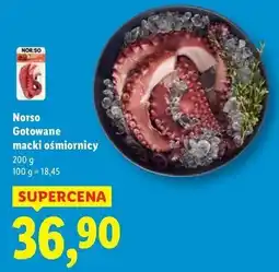 Lidl Macki ośmiornicy Norso oferta