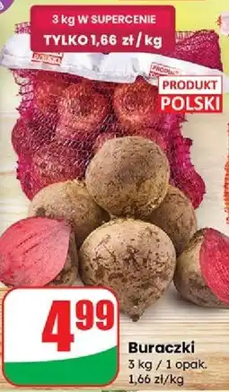 Dino Buraki polska oferta
