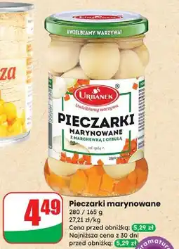 Dino Pieczarka marynowana Urbanek oferta