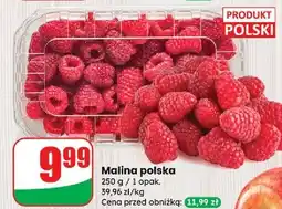Dino Maliny polska oferta