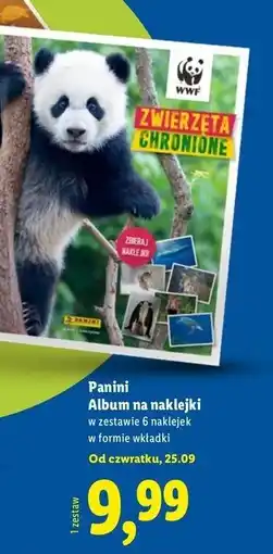 Lidl Album do wyklejania przykaciele zwierząt Panini oferta