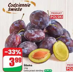 Dino Śliwki oferta
