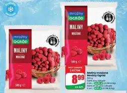 Dino Maliny Mroźny Ogród oferta