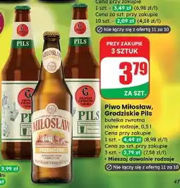 Dino Piwo pils Browar Grodzisk oferta