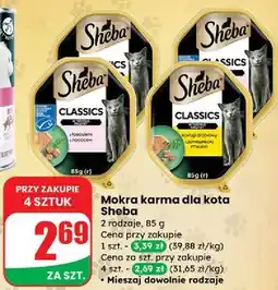 Dino Karma dla kota pate z koktajlem drobiowym Sheba Classics oferta