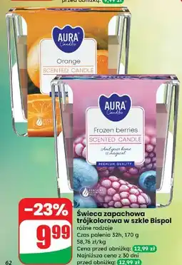 Dino Świeca w szkle frozen berries Aura Fragrances Candles oferta