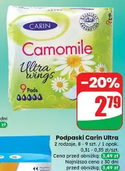 Dino Podpaski camomile Carin oferta