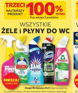Kaufland Zele i płyny do WC oferta