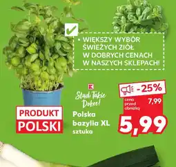 Kaufland Bazylia XL oferta