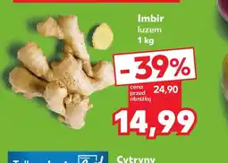 Kaufland Imbir oferta