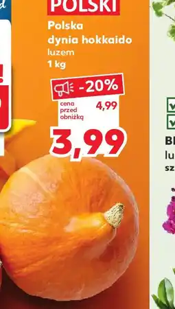 Kaufland Polska dynia hokkaido oferta