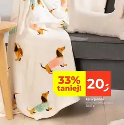 Dealz Koc w jamniki oferta