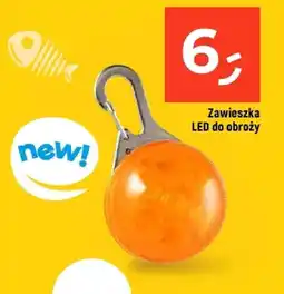 Dealz Zawieszka LED do obroży oferta