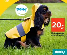 Dealz Bluzka odblaskowa przeciwdeszczowa oferta