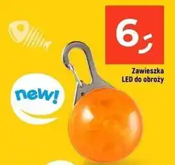 Dealz Zawieksza led do obroży oferta