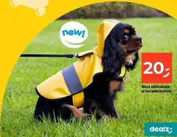 Dealz Bluza dla psa oferta