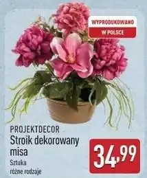 ALDI Stroik w misie Projektdecor oferta